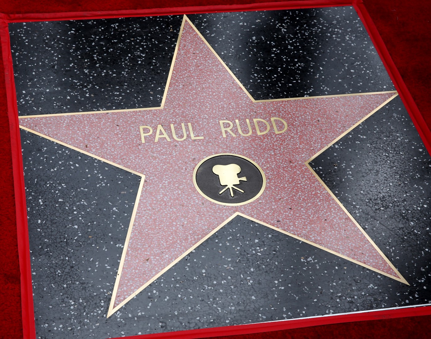 “Người Kiến” Paul Rudd vinh dự nhận ngôi sao trên Đại lộ danh vọng Hollywood - Ảnh 6